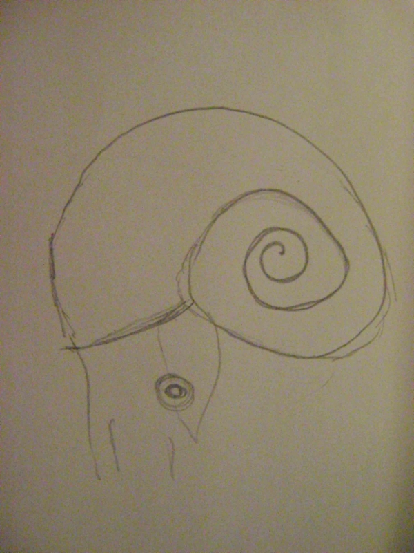 Creation of One Eyed Nautilus: Step 1